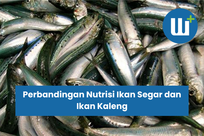 Perbandingan Nutrisi Ikan Segar dan Ikan Kaleng